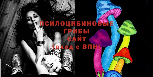 шишки Вяземский