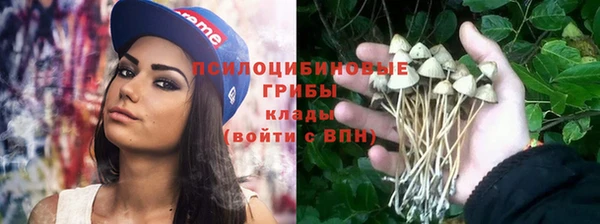 шишки Вяземский