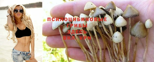 шишки Вяземский