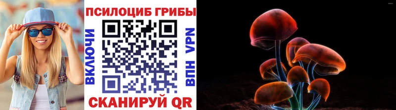 наркотики  Черноголовка  Псилоцибиновые грибы мухоморы 