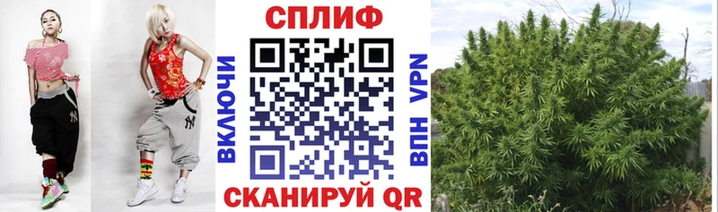 маркетплейс формула  Черноголовка  Бошки Шишки LSD WEED 